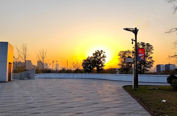 LED燈桿屏 LED燈桿屏