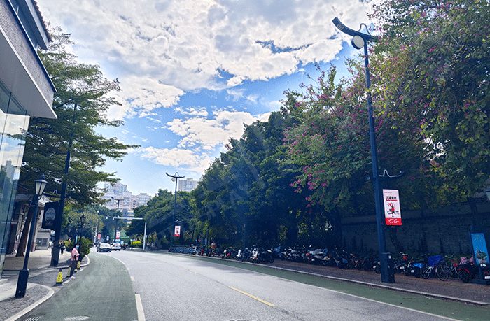 智慧路燈與LED燈桿屏